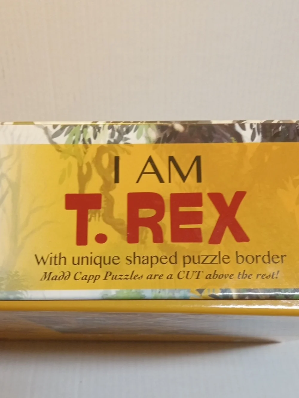 Dinasour T. REX 100 Piece Jigsaw Puzzle with Oversized Pieces Ages 6 And Up